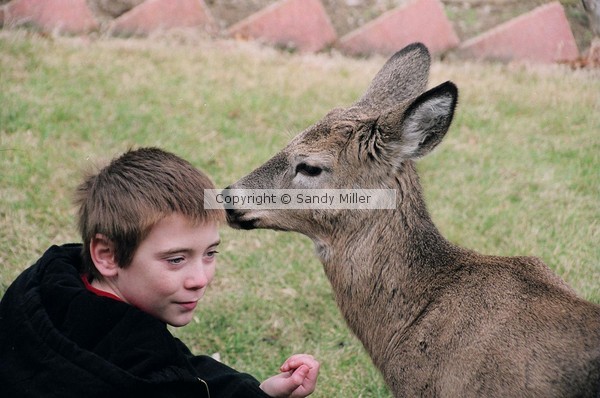 Let me whisper in your ear