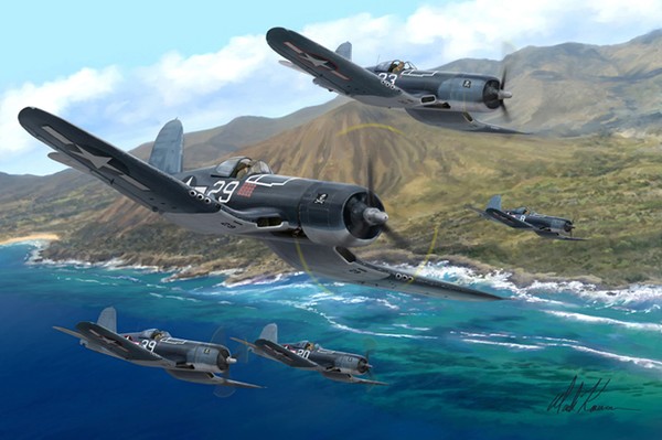VF-17 Jolly Rogers Tribute