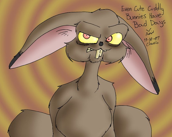 Bad Day Bunny