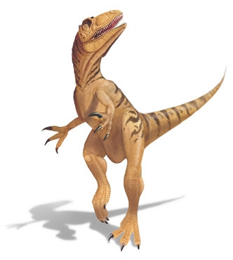 Allosaurus