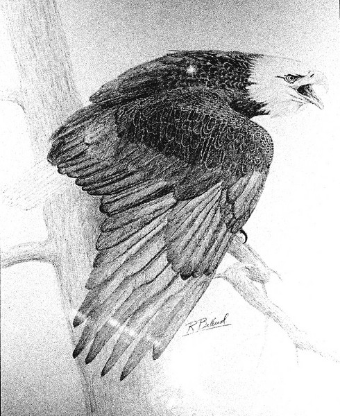 Eagle Landed