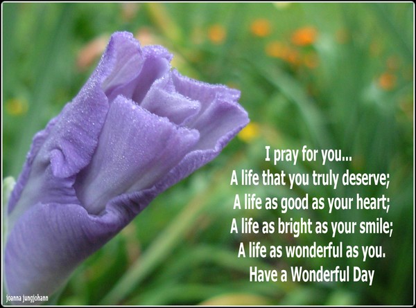 I Pray For You
