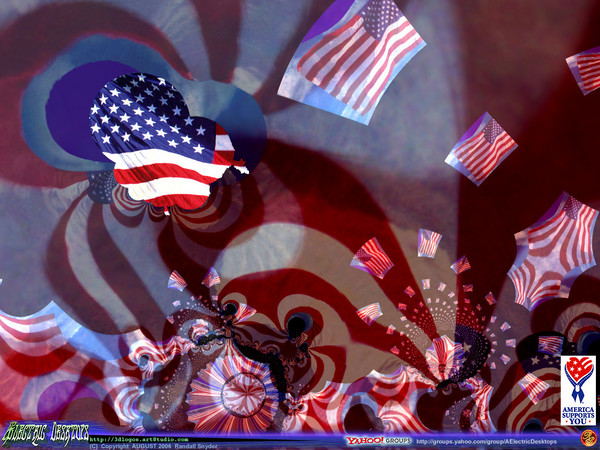 Honor The Flag 1
