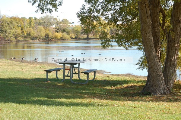 Early Fall Picnic Table by Ducks Photo