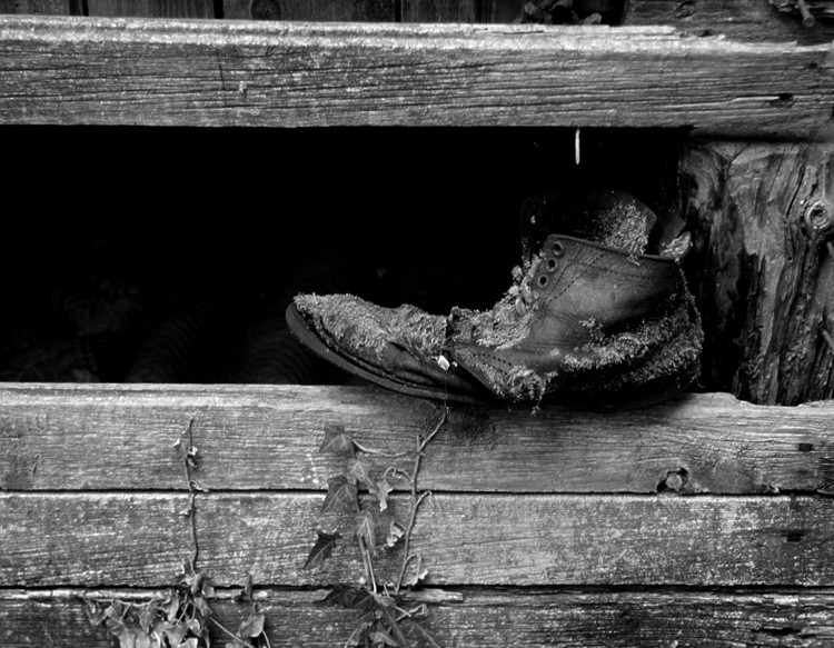 old companion