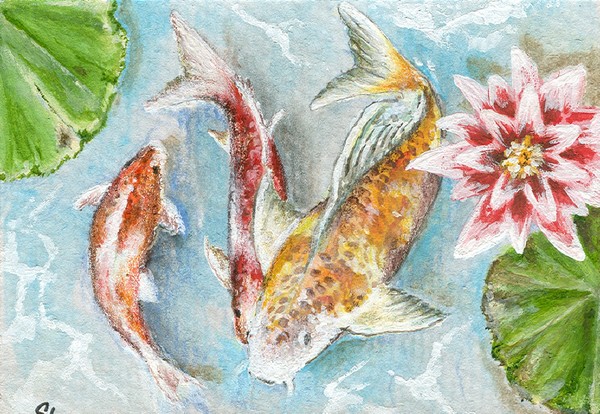 Three Koi
