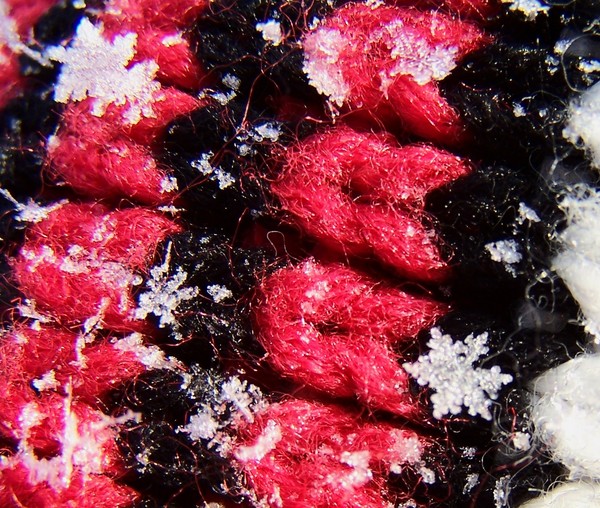 Snow flake