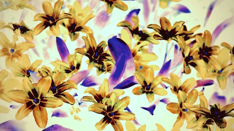   Spring for Marie Claire..