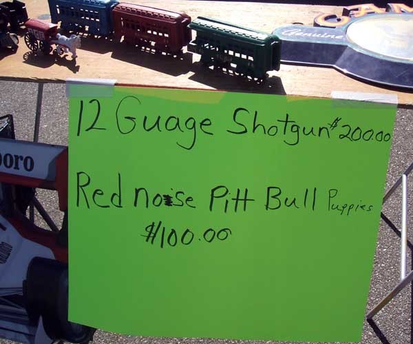 Red Noise Pit Bull Puppies