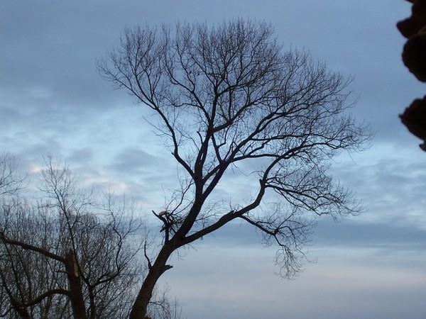 Cold and Alone - II