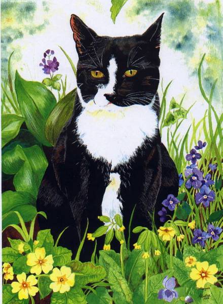 Morgan in Springtime