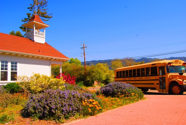 SCHOOL DAYS