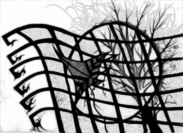 Graphic Trans Blk&whte