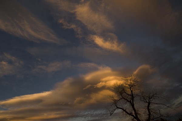 Reach For Heaven