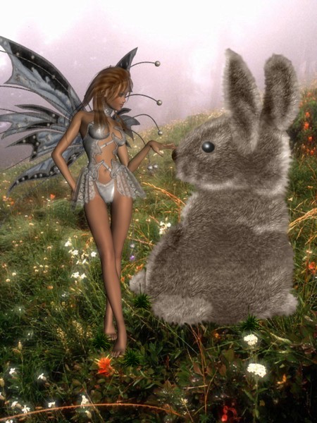 Rabbit-Fairie