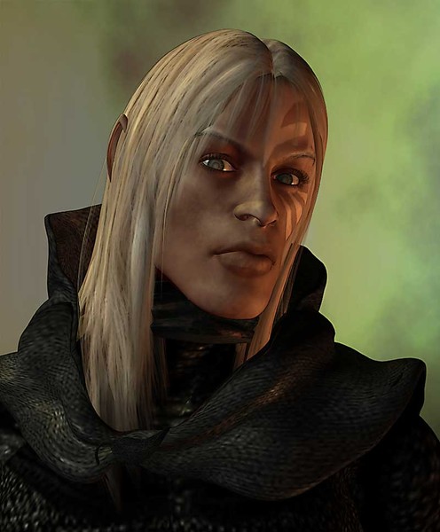 The Rogue
