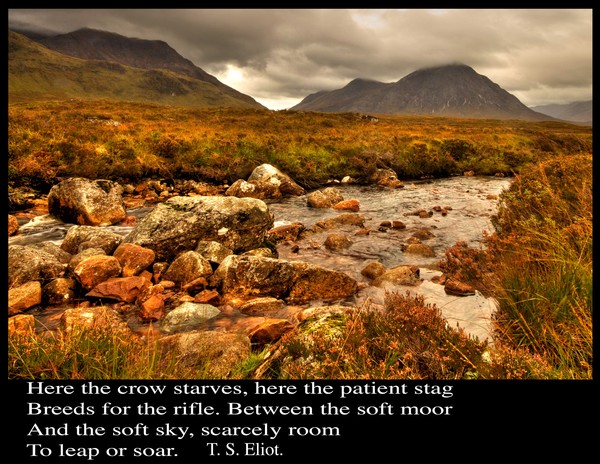 Mointeach Raithneach (Rannoch Moor)