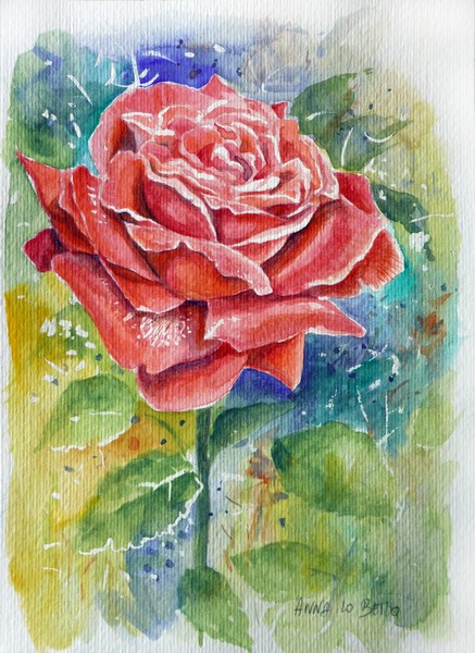 rose 4