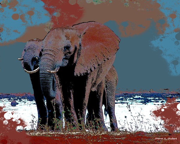 Watering Hole
