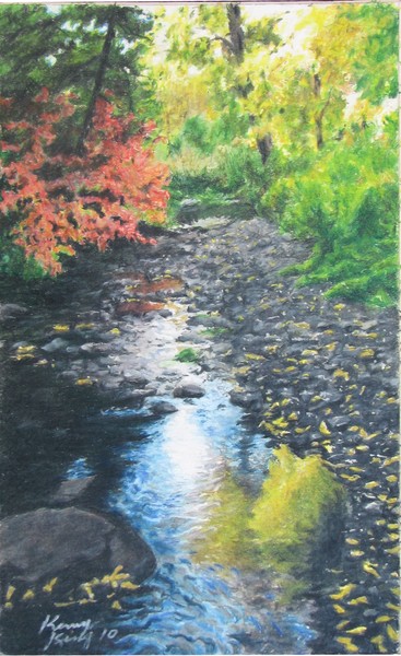 Taos creek