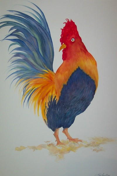 King of the Roosters