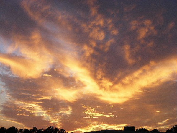 Southern Skies
