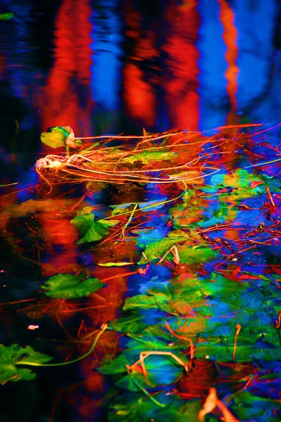 prophecy in the lake