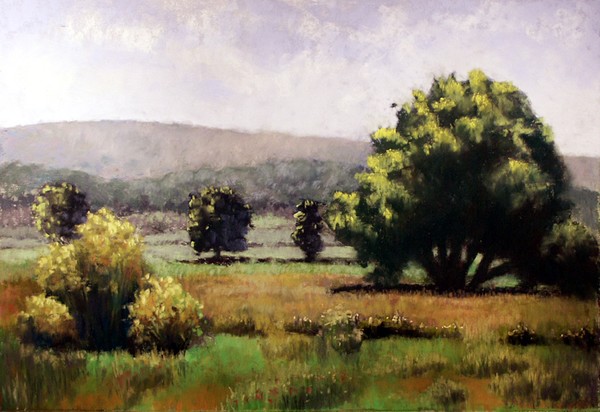 Meadow at Midday