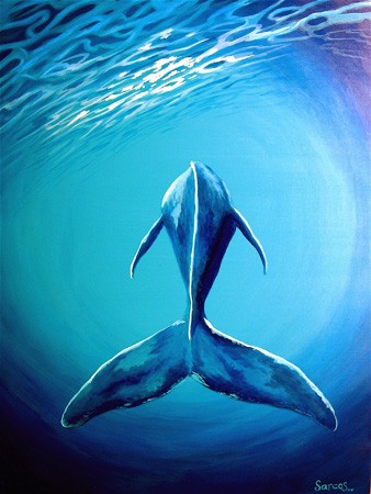 whale meditation