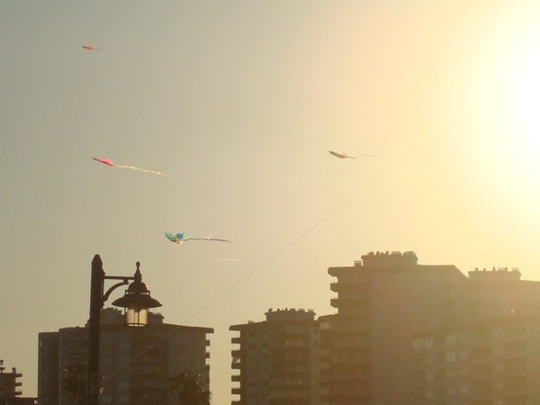 photo from Mersin Shore / TURKEY.