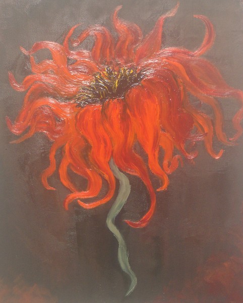 Bilma's Poppy
