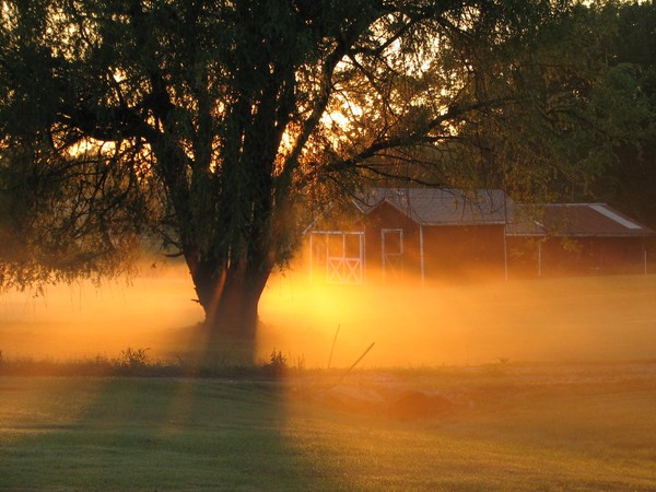 Foggy Sunset
