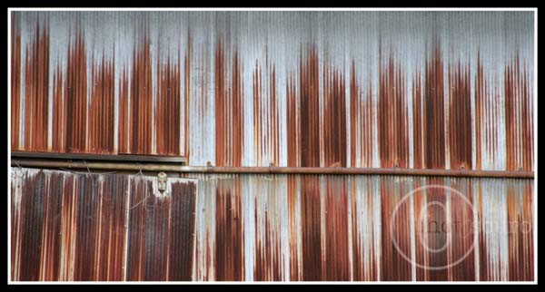 Untitled 2
