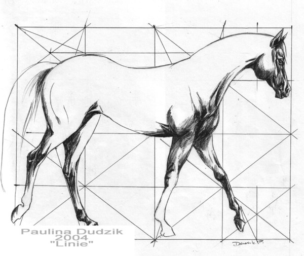 lines