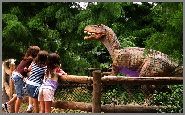 A NICE PET