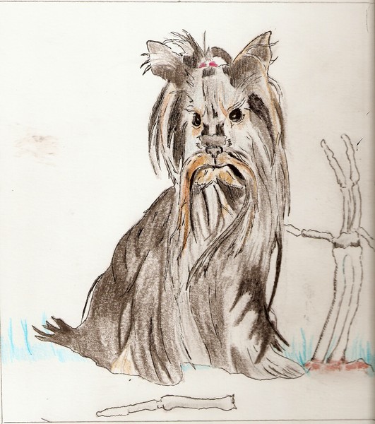 doggie