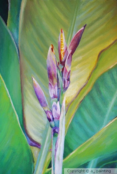 Blossoming Flower