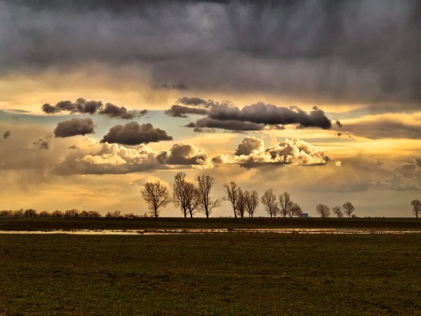 Black Clouds