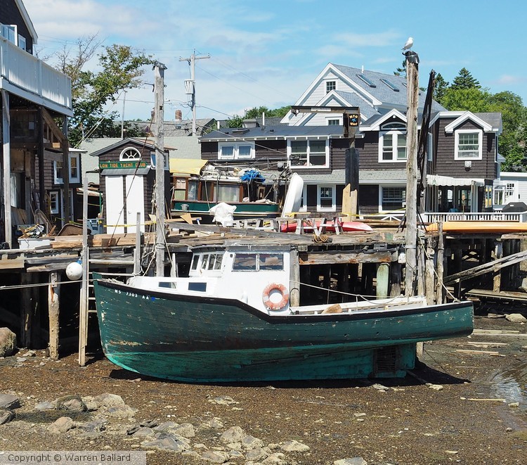 Low Tide