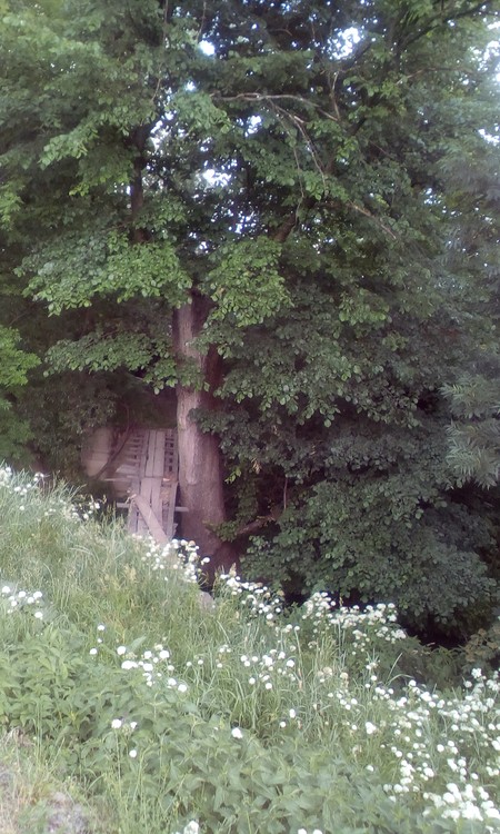 Landscape in my village