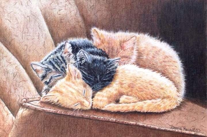 Kitten Slumber