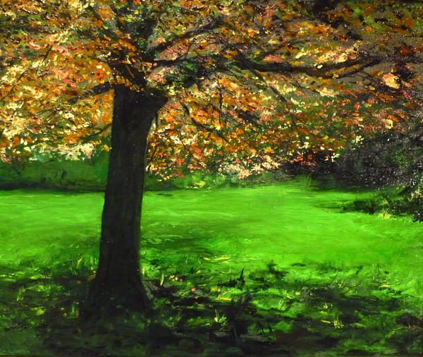 MY LOVE OF TREES I