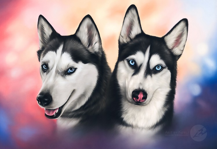 Elsa & Ice