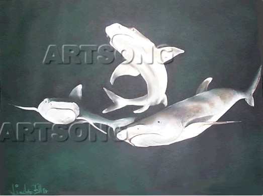 Trolling Sharks