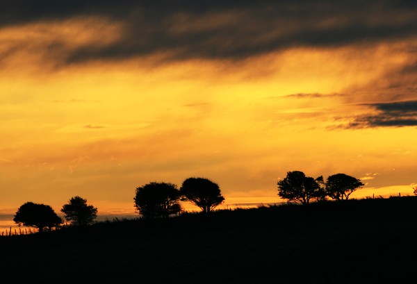 Saturday sunrise