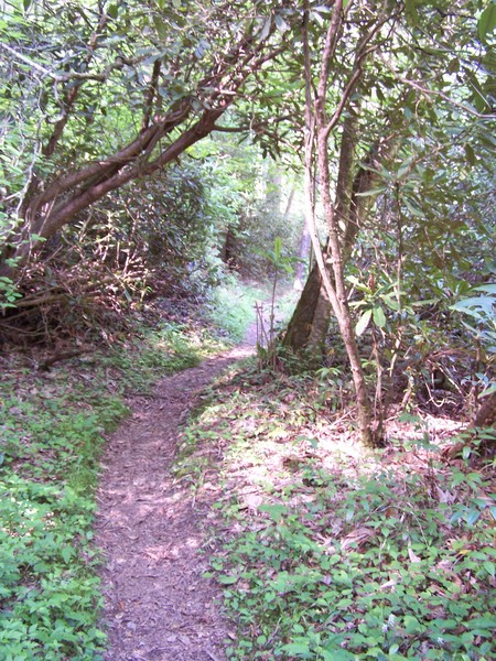Quiet Walkway