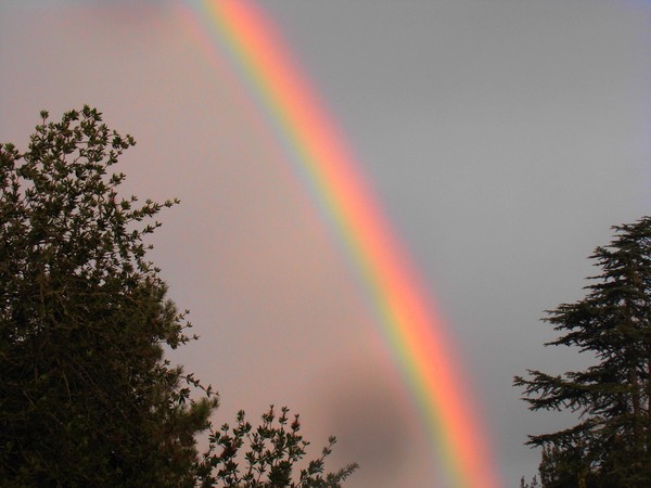 Rainbow