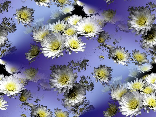 it's raining flowers