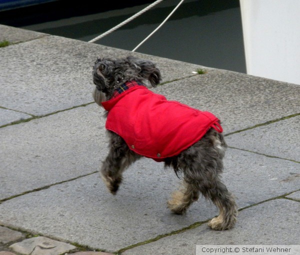red coat