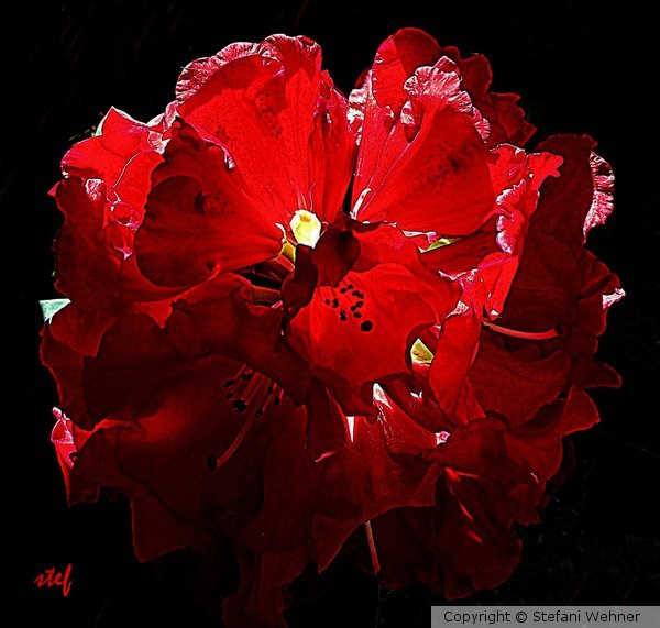 inner glow